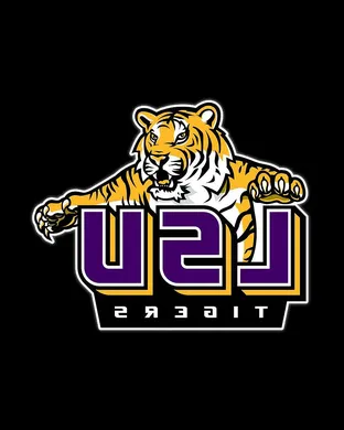 LSU Tigers Other concert