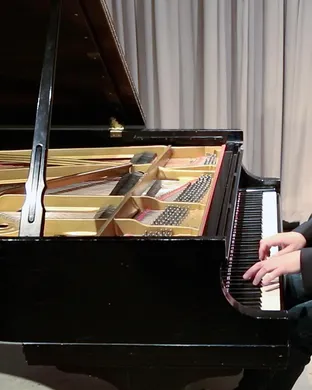 Marc-Andre Hamelin Classical concert