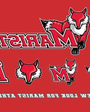 Marist Red Foxes Baseball event