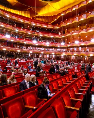 Metropolitan Opera Opera show