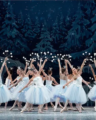 Miami City Ballet Ballet show
