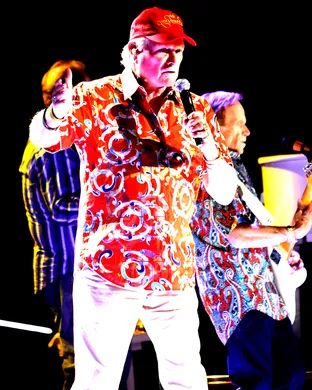 Mike Love Pop concert