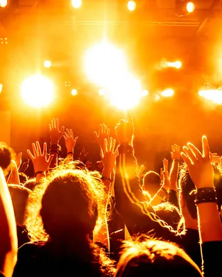 Mindchatter Festival concert