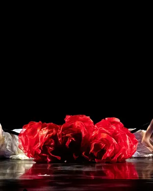 Momix Latin concert