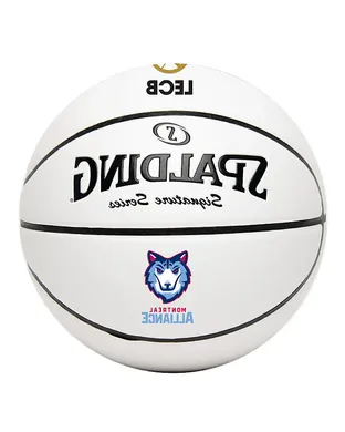 Montreal Alliance Basketball event