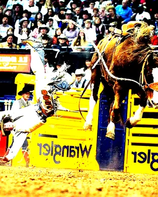 National Finals Rodeo Rodeo event