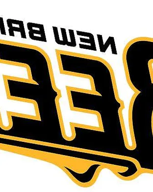 New Britain Bees Baseball event
