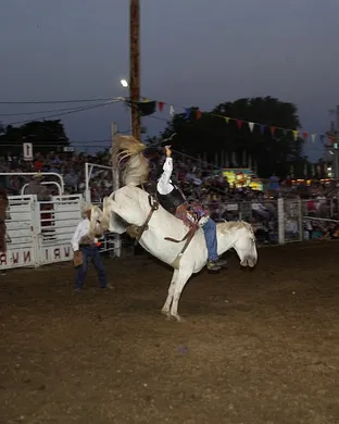 New Windsor Rodeo Rodeo event