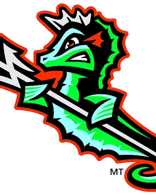 Norfolk Tides Baseball event