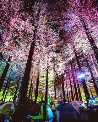 Northern Nights Music Festival Festival concert