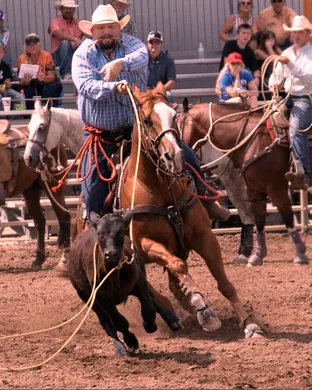 Ogden Pioneer Days Rodeo Rodeo event
