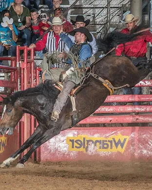 Old Fort Days Rodeo Rodeo event