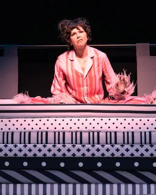 Once Upon a Mattress Broadway show
