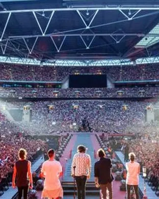 One Direction Other concert