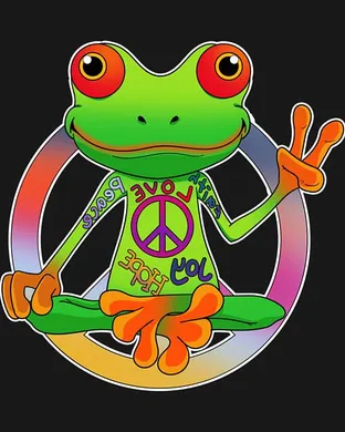 Peace Frog Other concert