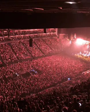 Pearl Jam Alternative concert