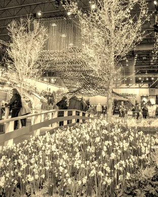 Philadelphia Flower Show Fairs concert