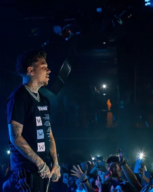 Phora Festival concert