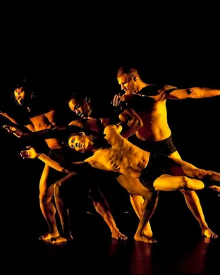 Pilobolus Dance show