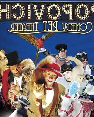 Popovich Comedy Pet Theater Comedy concert