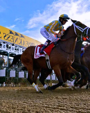 Preakness Stakes Basketball event