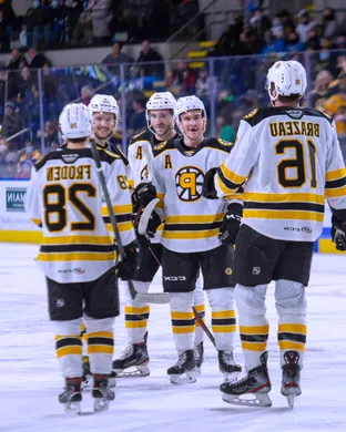 Providence Bruins Hockey event