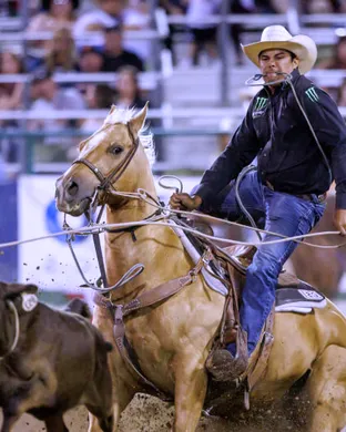 Reno Rodeo  Rodeo event