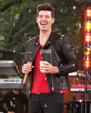 Robin Thicke Festival concert