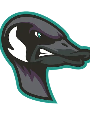 Rochester Honkers Baseball event