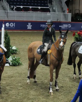 Royal Winter Fair Horse Show Fairs concert