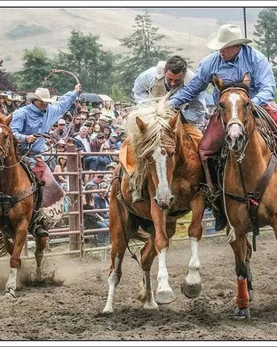 Russian River Rodeo Rodeo event