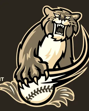 Sacramento River Cats Baseball event