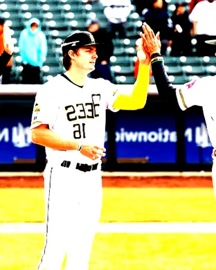 Salt Lake Bees Baseball event