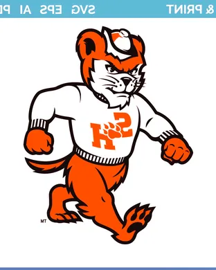 Sam Houston State Bearkats Baseball event