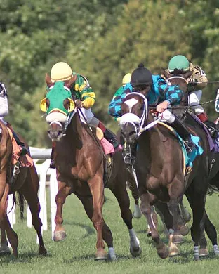 Saratoga Horse Racing Racing event