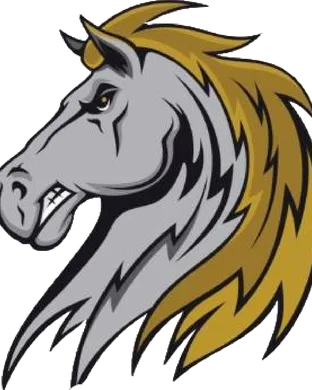 Saugerties Stallions Baseball event