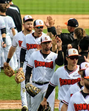 Schaumburg Boomers Baseball event