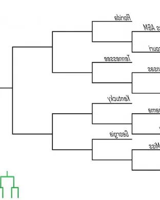 SEC Men's Basketball Tournament Basketball event