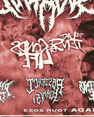 Signs of the Swarm Hard concert