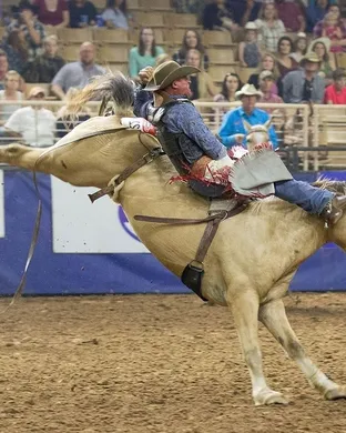 Silver Spurs Rodeo Rodeo event