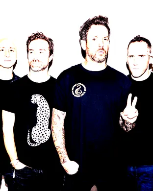 Simple Plan Alternative concert