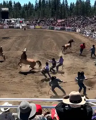 Sisters Rodeo Rodeo event