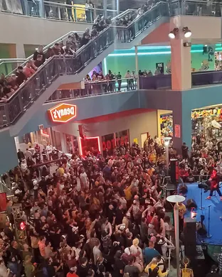 Skankfest Festival concert