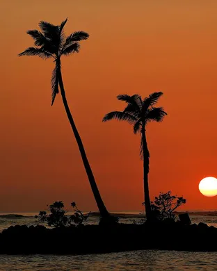 Sony Open Golf event