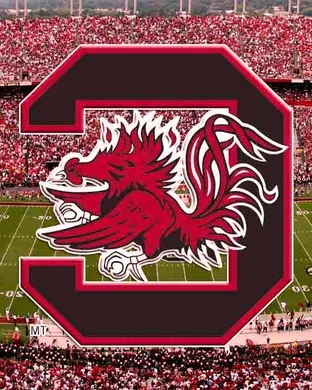 South Carolina Gamecocks Football Football event