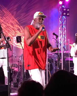 Steel Pulse Reggae concert