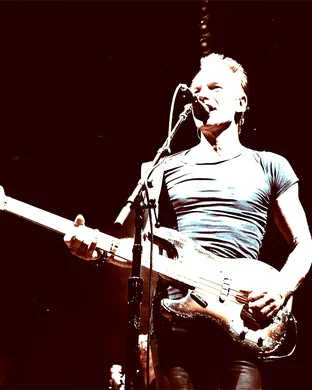 Sting Pop concert