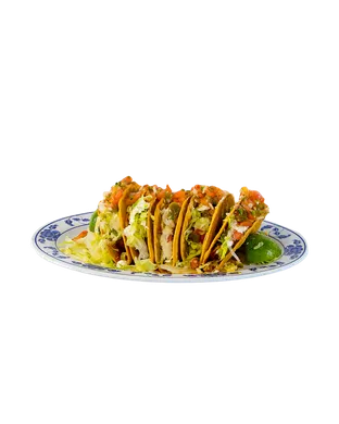 Tacos Festival concert
