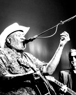 Taj Mahal Jazz concert