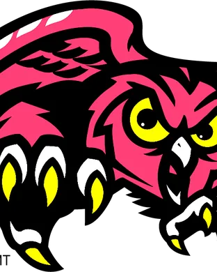 Temple Owls Football Football event